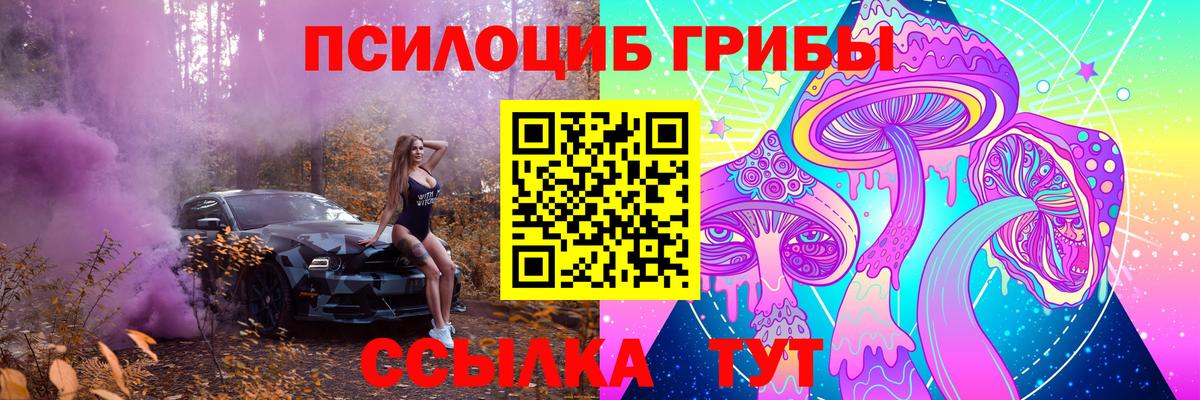 Псилоцибиновые грибы Magic Shrooms Карасук