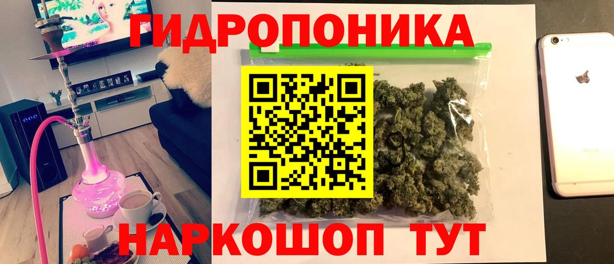 Карасук  Каннабис White Widow  МАРИХУАНА планчик  Бошки Шишки тримм  Вход с VPN 